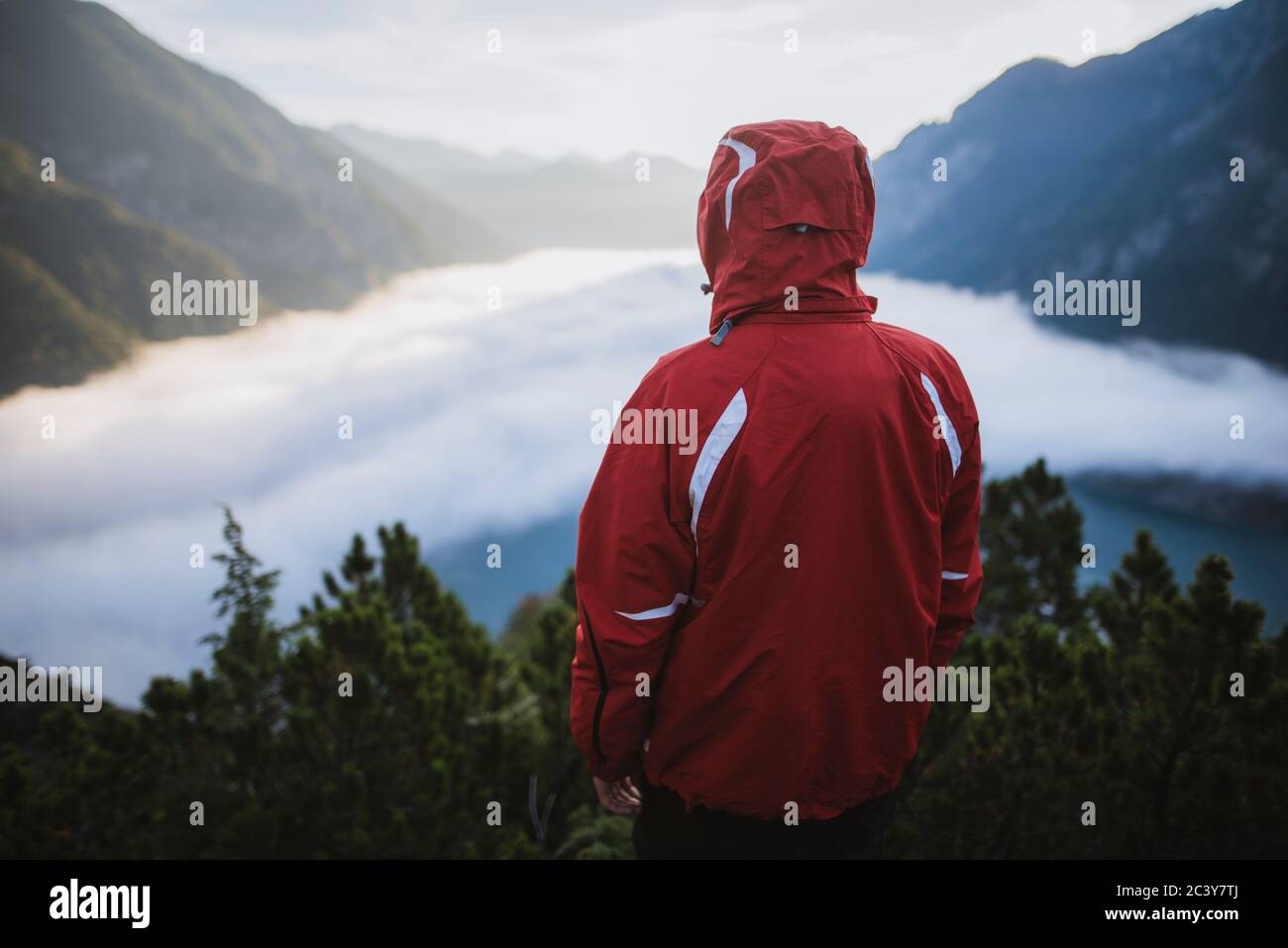 Austria, Plansee, Vista trasera del hombre en chaqueta roja de pie en los Alpes austriacos Foto de stock