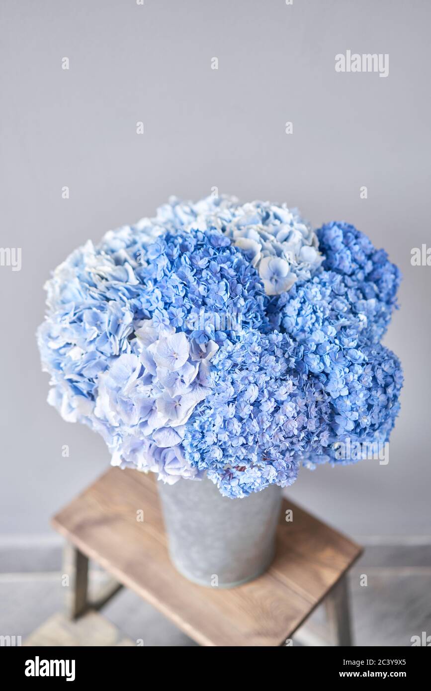 Hermosas Flores De Hortensia Azul En Un Jarron Sobre Una Mesa Ramo De Flores De Color Rosa Claro Decoracion Del Hogar Fondo De Pantalla Y Fondo Fotografia De Stock Alamy