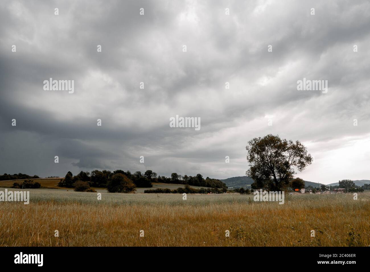 la tormenta viene nubes grises en el cielo con el árbol y el campo Foto de stock
