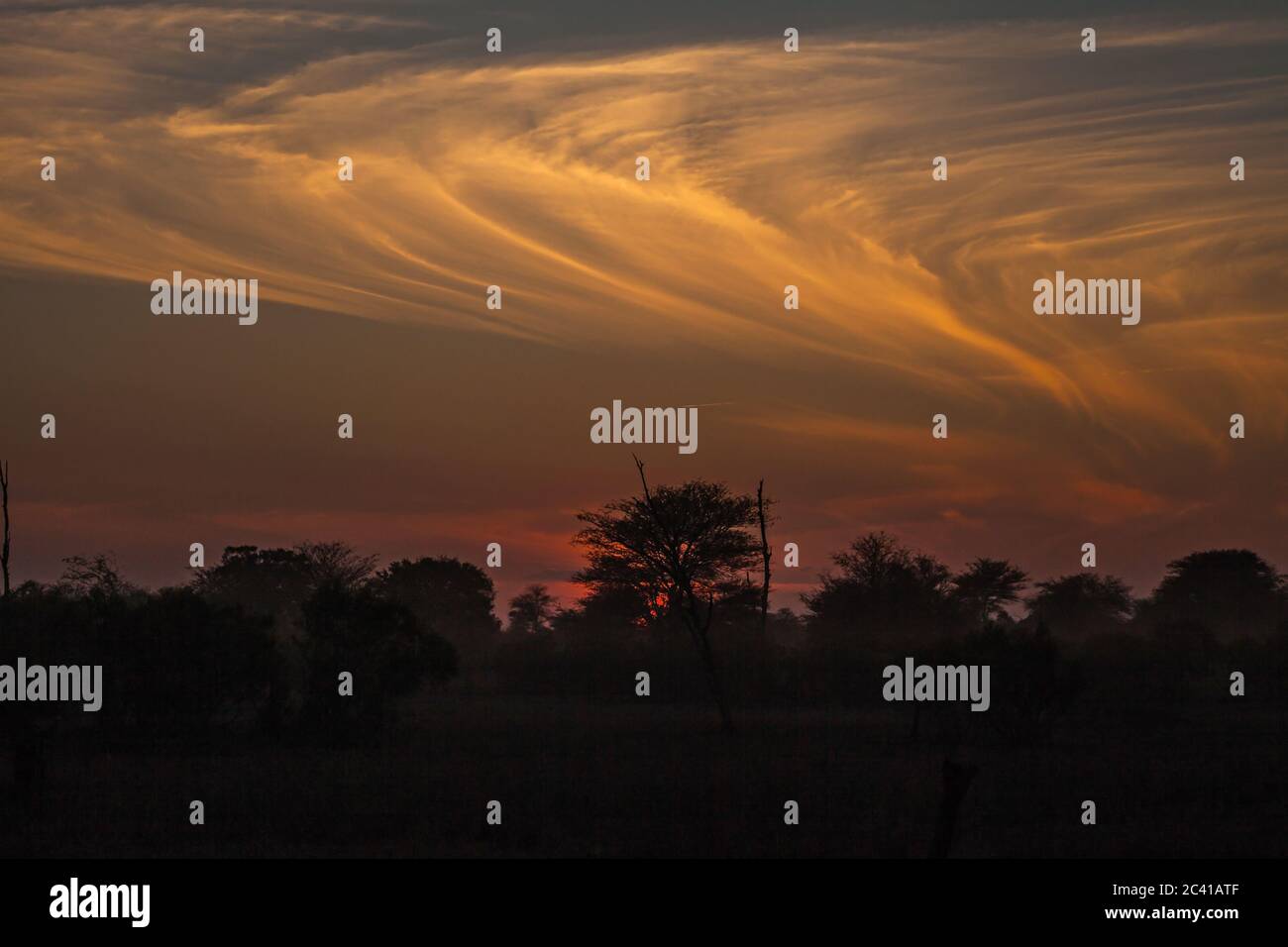 Bushveld puesta de sol con interesantes formaciones de nubes. 3612 Foto de stock