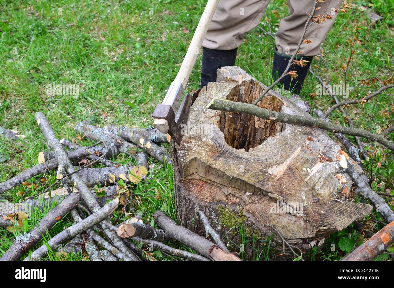 Cortar leña y hacha. Recursos renovables Foto de stock 139866433