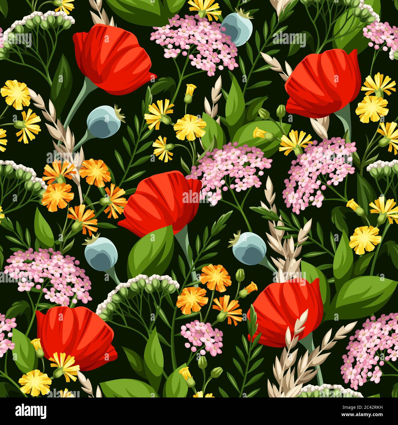Patrón floral con flores silvestres de colores vivos sobre un fondo verde oscuro. Ilustración del Vector