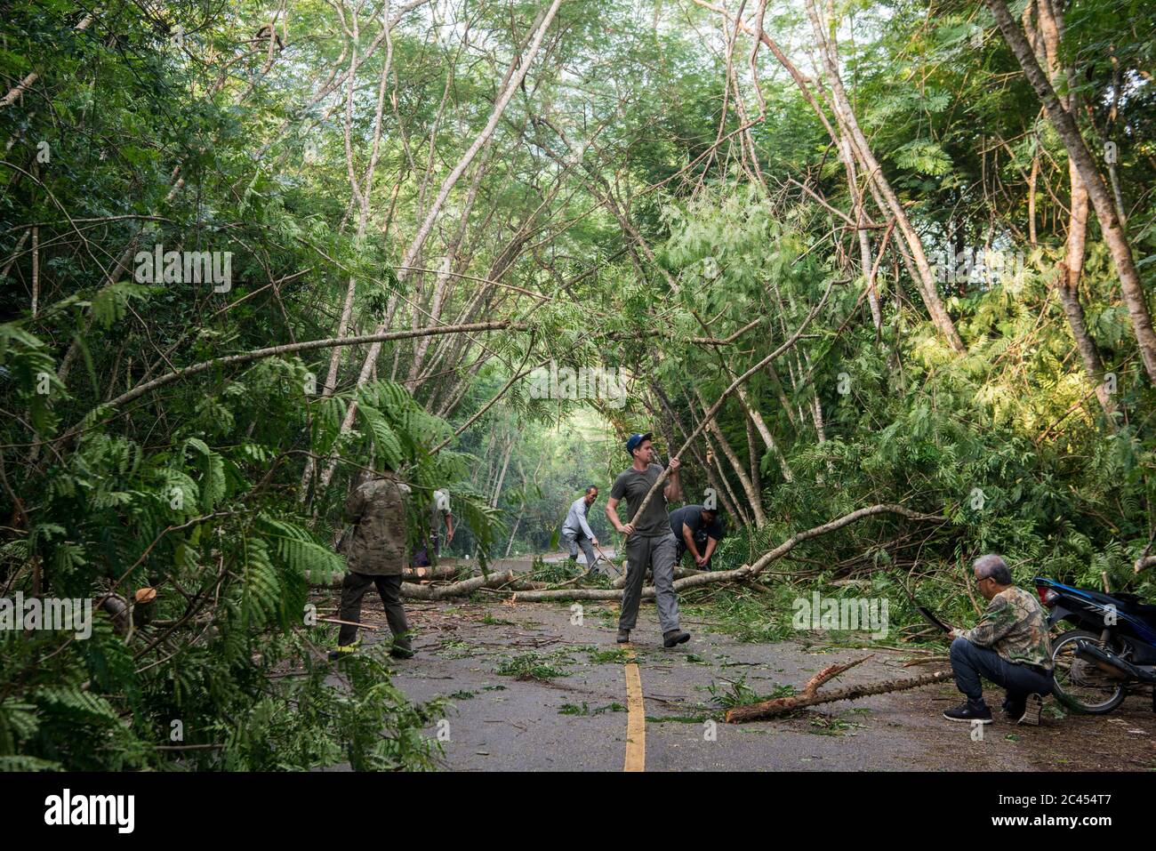 ranger limpiando una carretera del Parque después de una tormenta en el bosque lluvioso en el Parque Nacional Kaeng krachan al oeste de la ciudad de Phetchaburi o Phetburi en la provincia Foto de stock