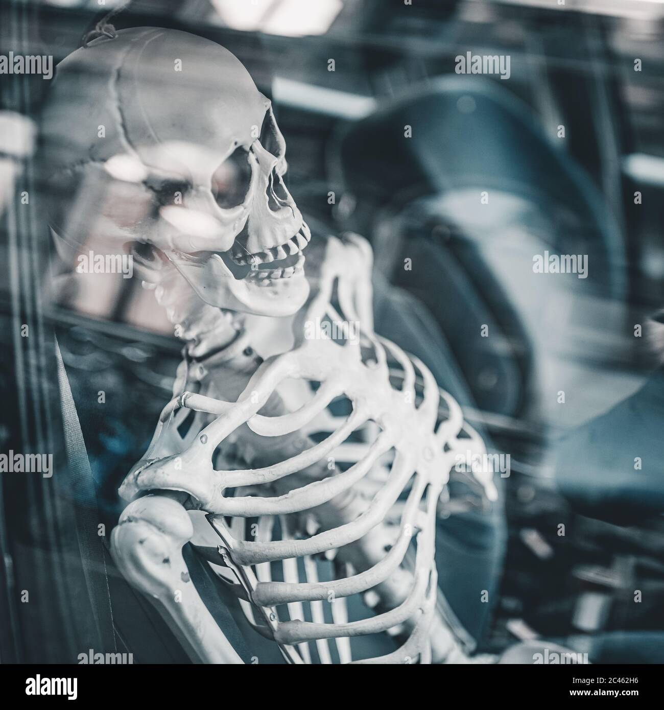 Esqueleto de Halloween aterrador Foto de stock