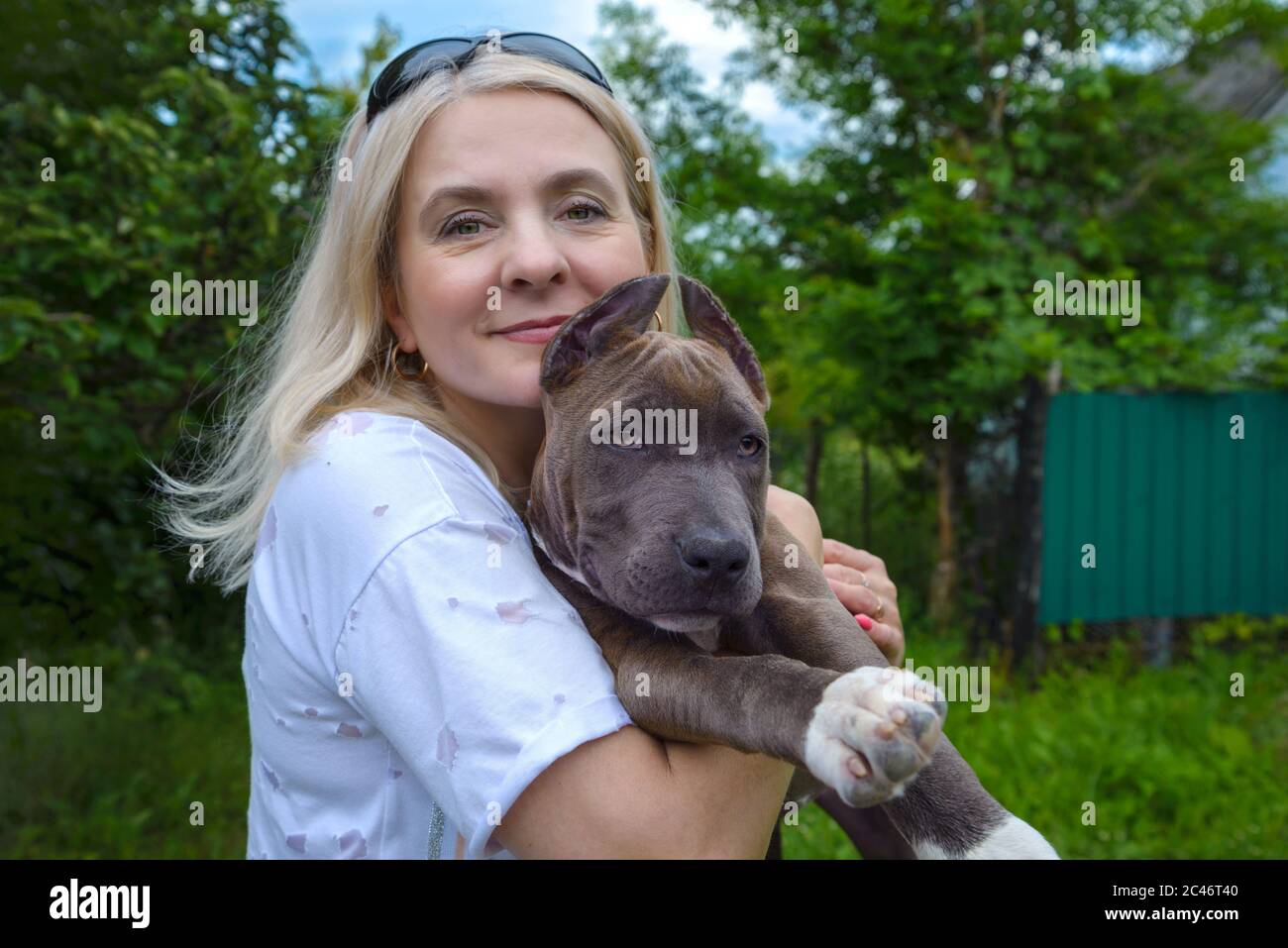 La rubia sostiene en sus brazos un cachorro del americano Staffordshire Terrier Foto de stock