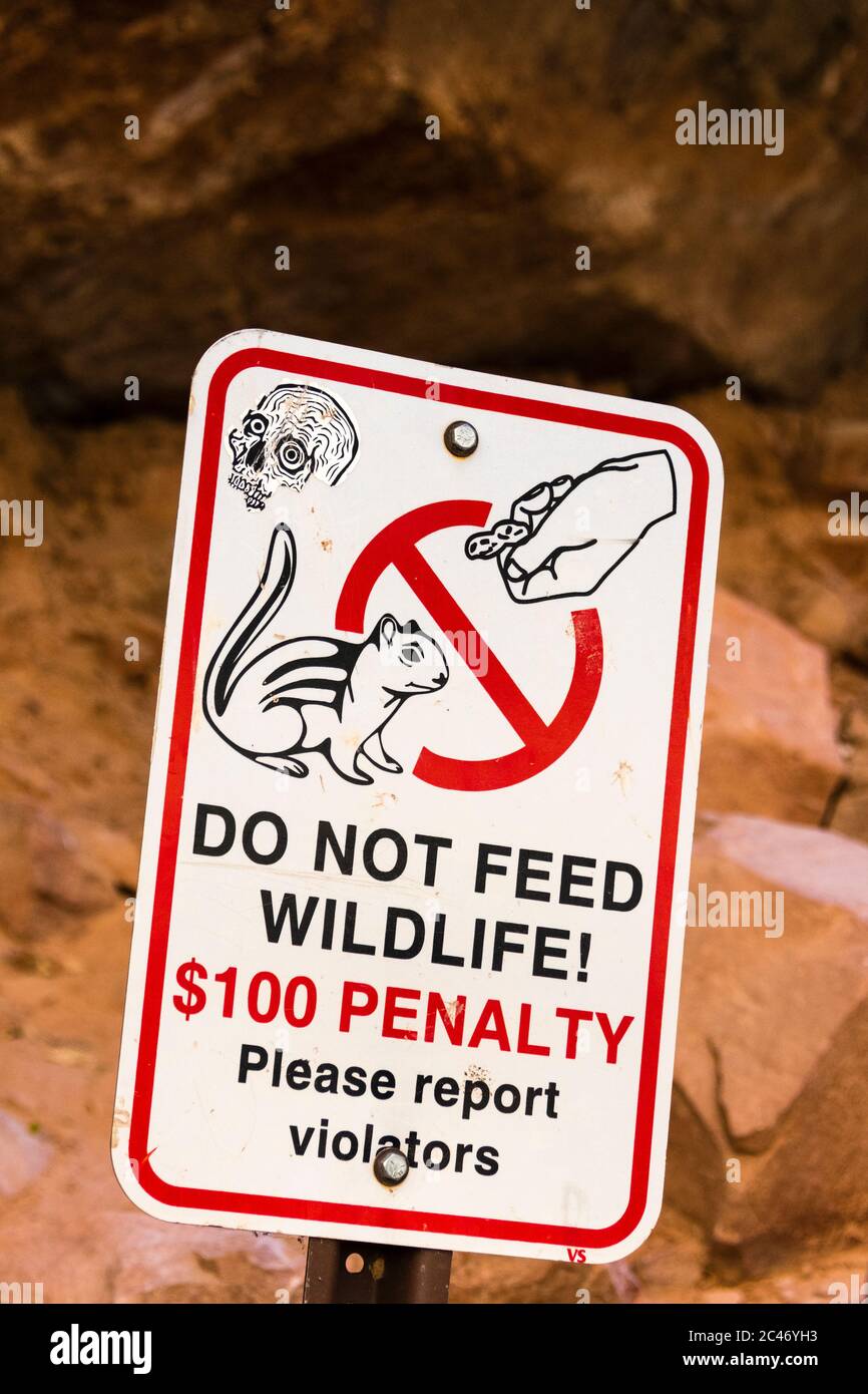 Firme diciendo no alimentar a la vida silvestre, $100 pena, por favor informe a los infractores, Zion National Park, Utah, EE.UU Foto de stock