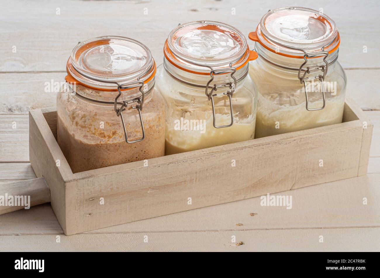 Tres jarras cuadradas de cristal Kilner que contienen entrantes de pan de masa fermentada hechos con centeno oscuro, harina blanca fuerte y sin gluten. Foto de stock