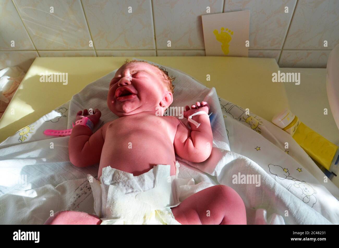 Recién nacido bebé - niña el resto del cordón umbilical después de un parto exitoso. Nacimiento real y recién nacido en un hospital. Una mujer sana Fotografía de stock Alamy