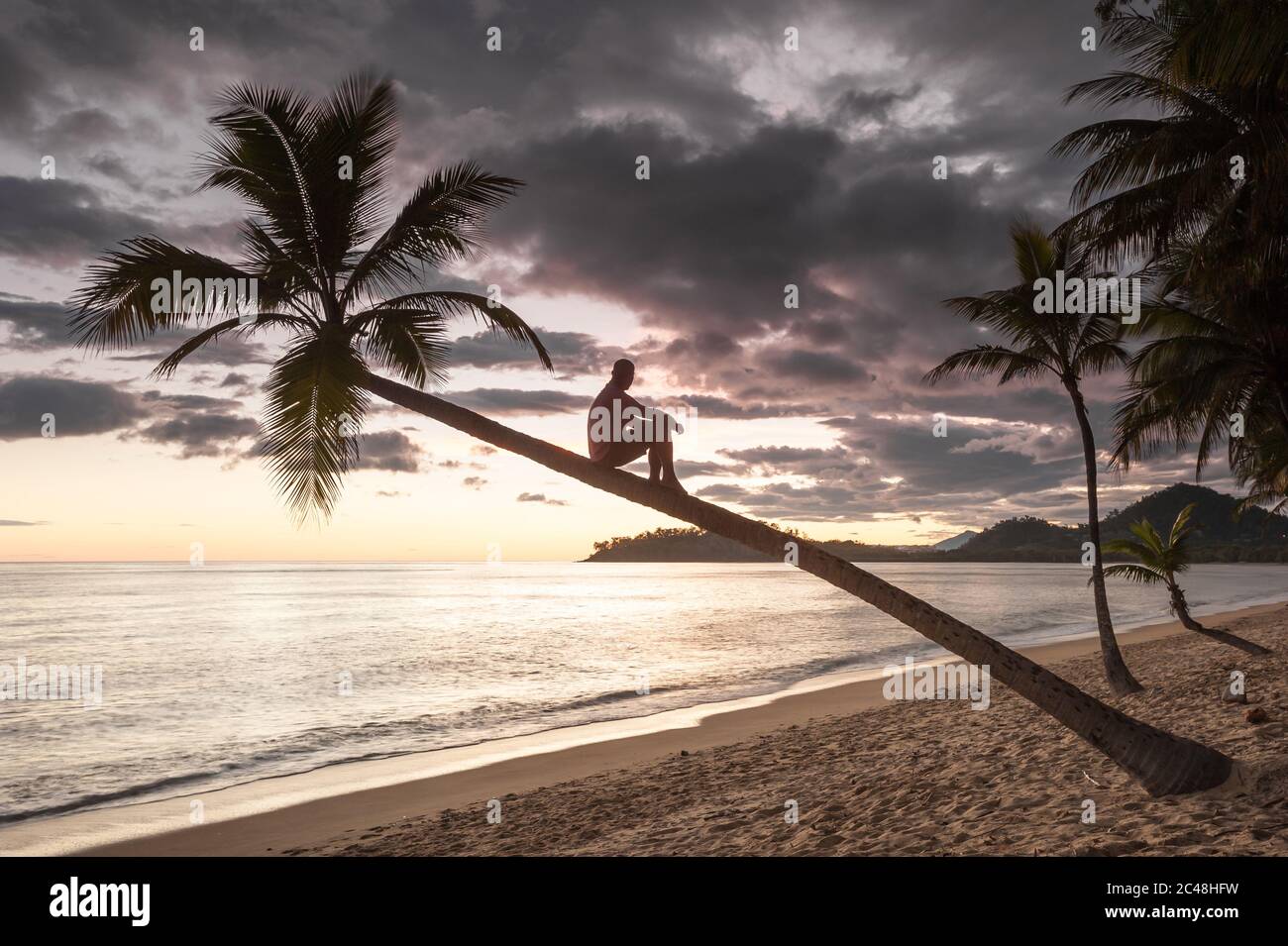 Un beachcomber descansa por un momento para disfrutar del espectacular amanecer desde un maravilloso mirador en lo alto de una palma de coco en Clifton Beach, Queensland. Foto de stock