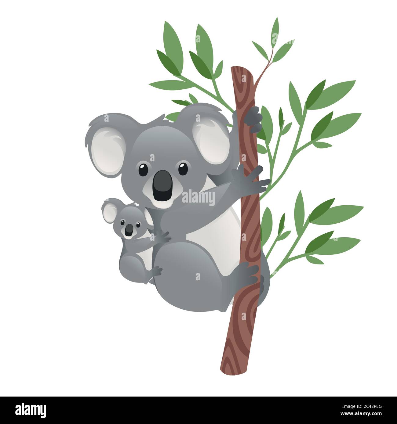 Baby Koala And Mother Imagenes Recortadas De Stock Alamy