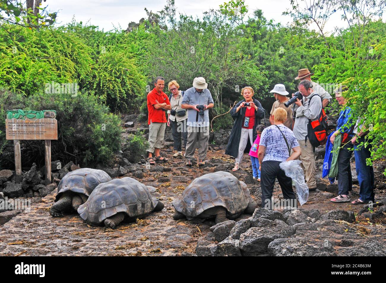 Fundación para la educación ambiental fotografías e imágenes de alta
