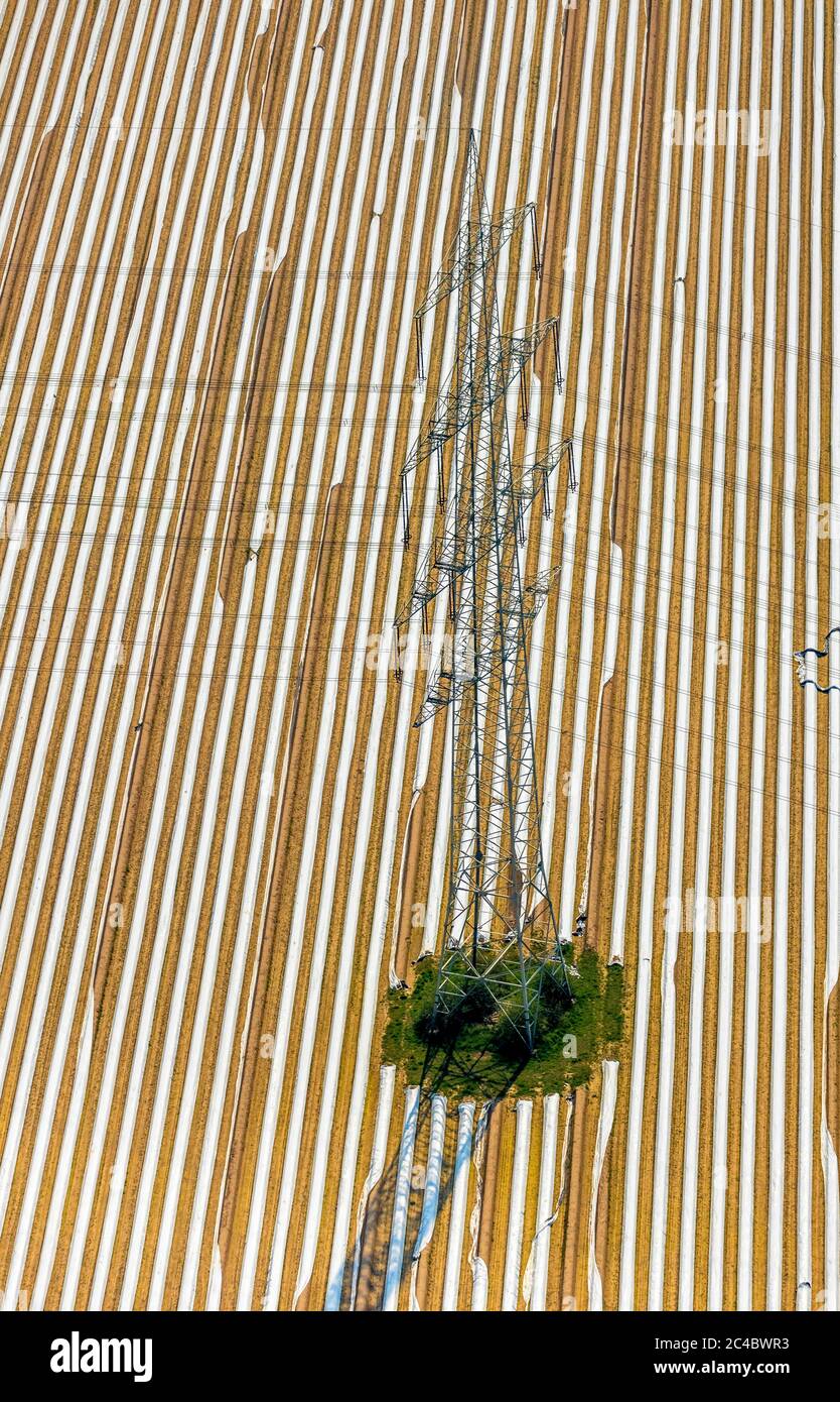 Polo eléctrico en un campo de aspargus en la Mehrstrasse en el distrito de Friedrichsfeld, 07.04.2019, vista aérea, Alemania, Renania del Norte-Westfalia, Área de Ruhr, Voerde Foto de stock