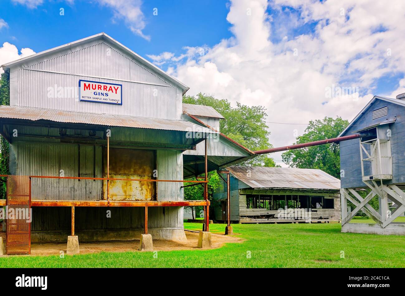 Una Ginebra de algodón se encuentra en los terrenos de Dockery Farms, 12 de agosto de 2016, en Cleveland, Mississippi. Foto de stock