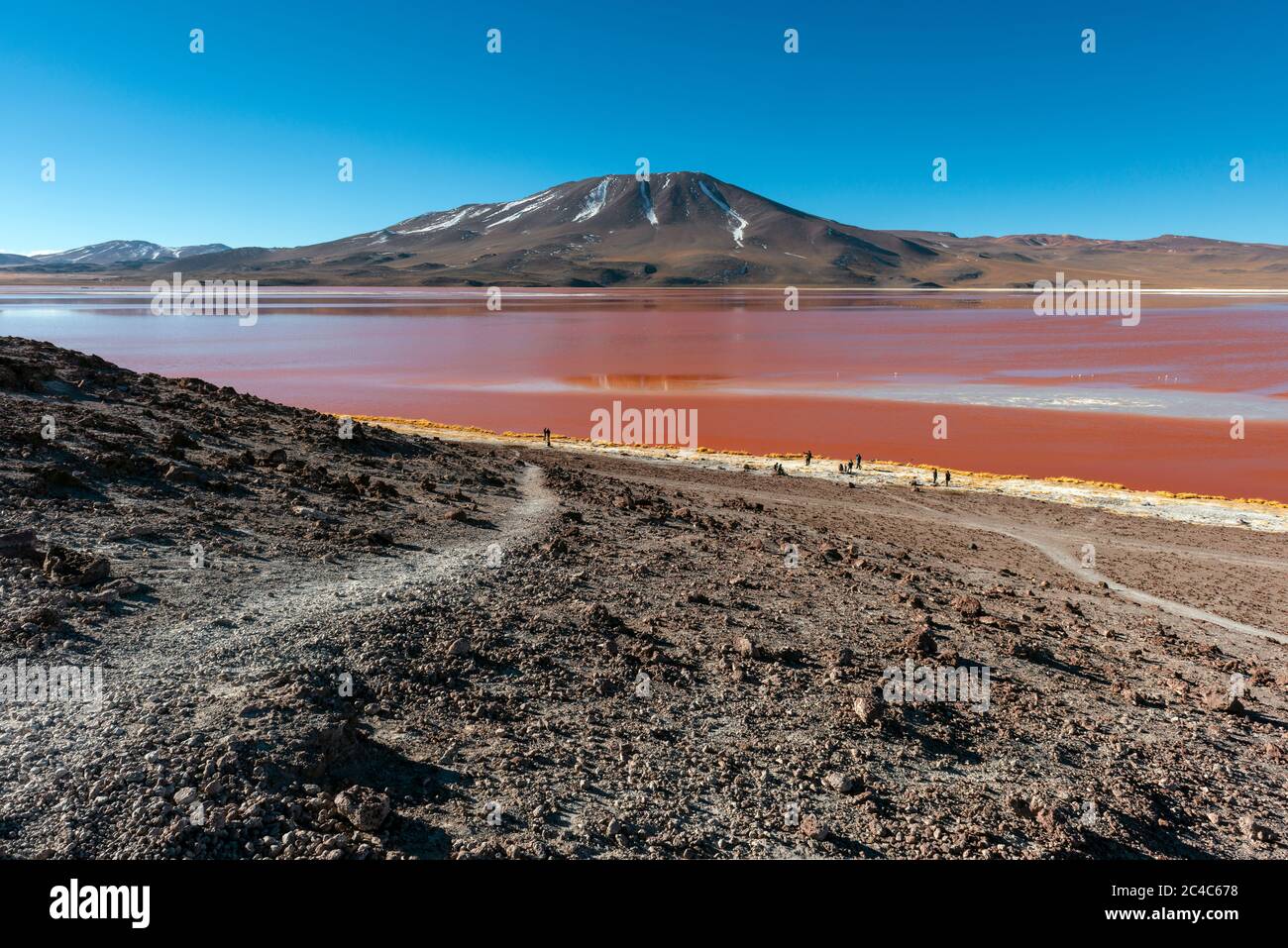 Paisaje de la Laguna Colorada o Laguna Roja en el altiplano de los Andes, desierto salado de Uyuni, Bolivia. Foto de stock