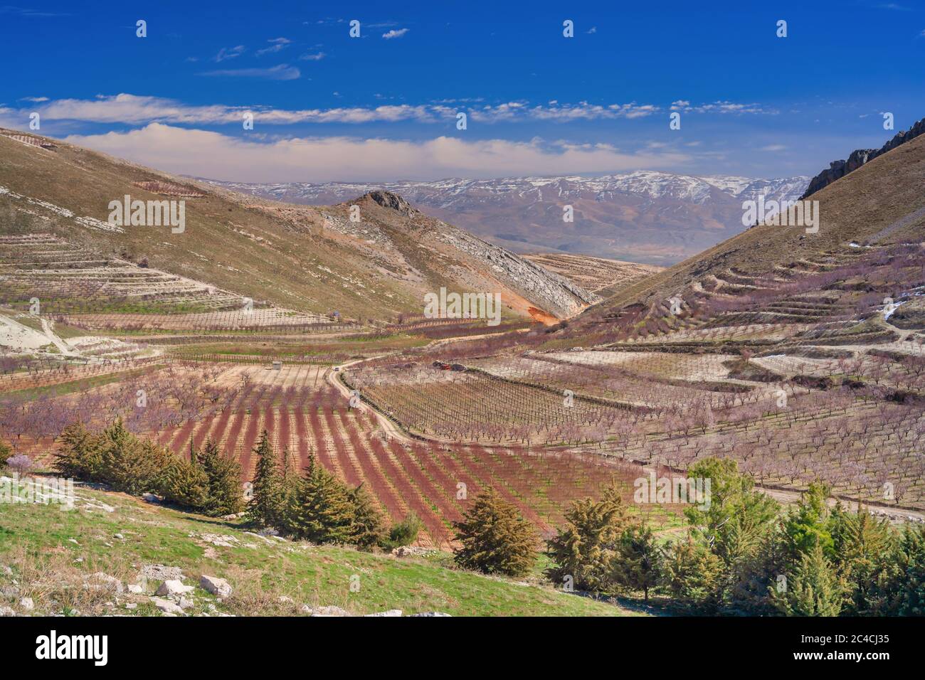 Niha, el valle de Bekaa, en el Líbano Foto de stock
