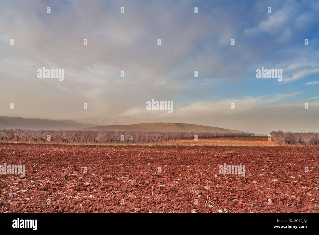 Tierra de granja, valle de Bekaa, Líbano Foto de stock