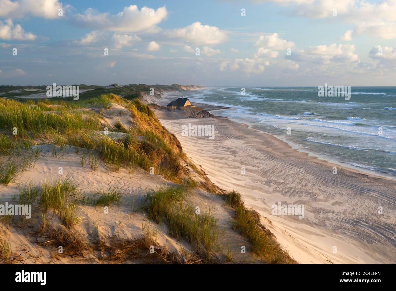 Vista a lo largo de la playa y dunas de arena durante el tiempo tormentoso, Gammel Skagen, Jutland, Dinamarca, Europa Foto de stock