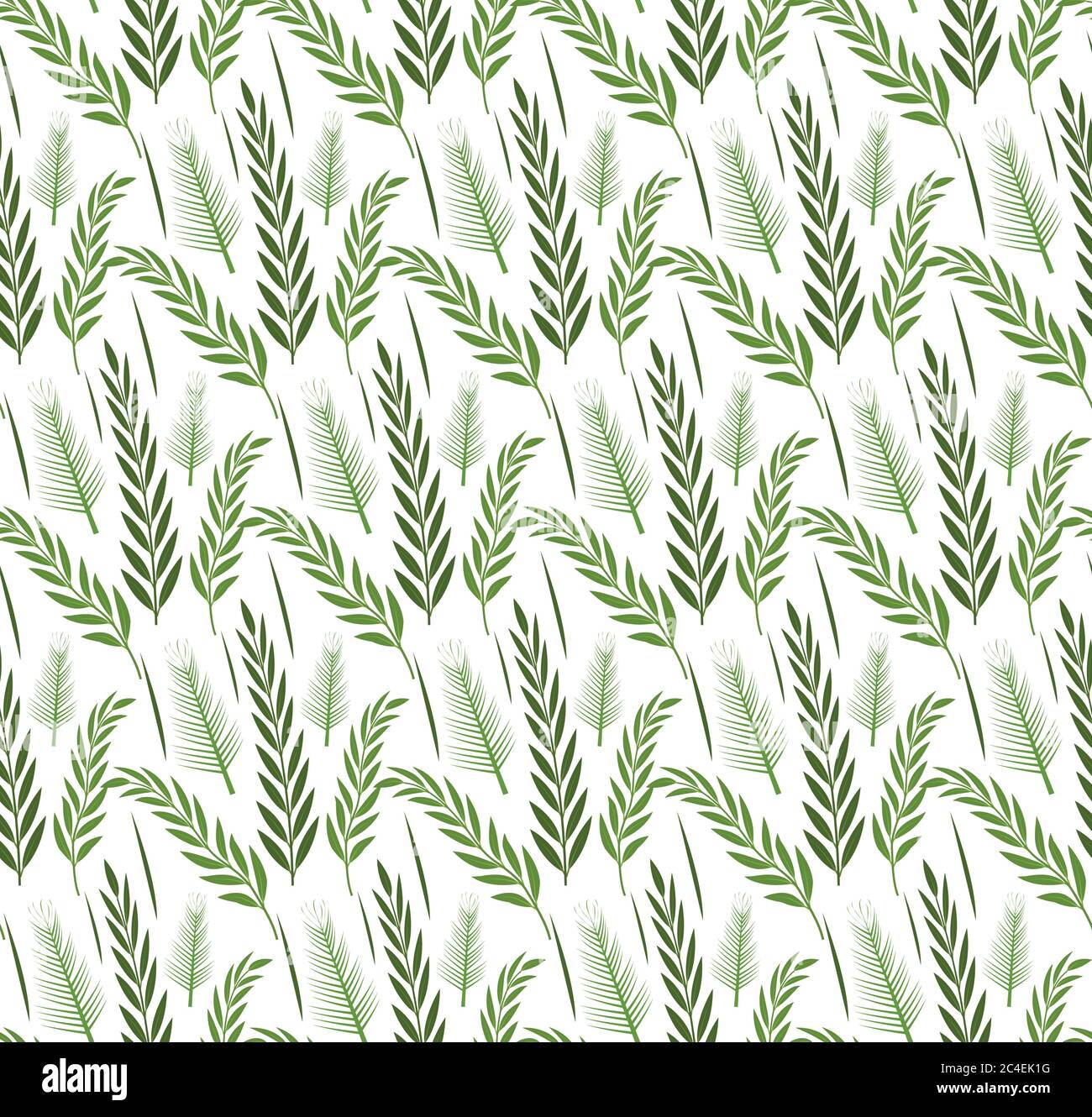 Plantas de césped patrón sin costuras. Sukkot verde repetición, fondo interminable. Ilustración vectorial Ilustración del Vector