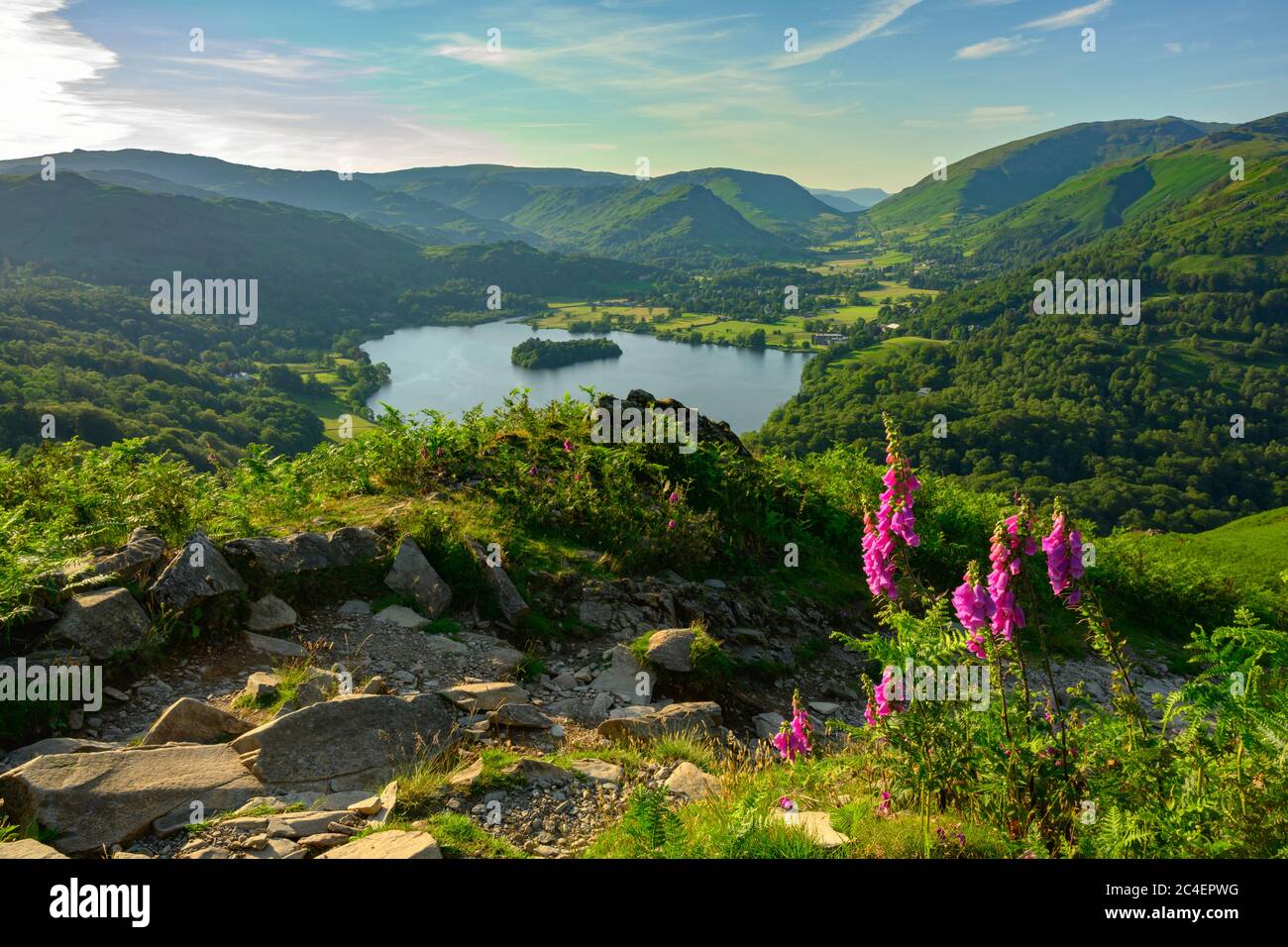 Foxgloungs y Grasmere de Loughrigg Fell, Distrito de los Lagos Foto de stock