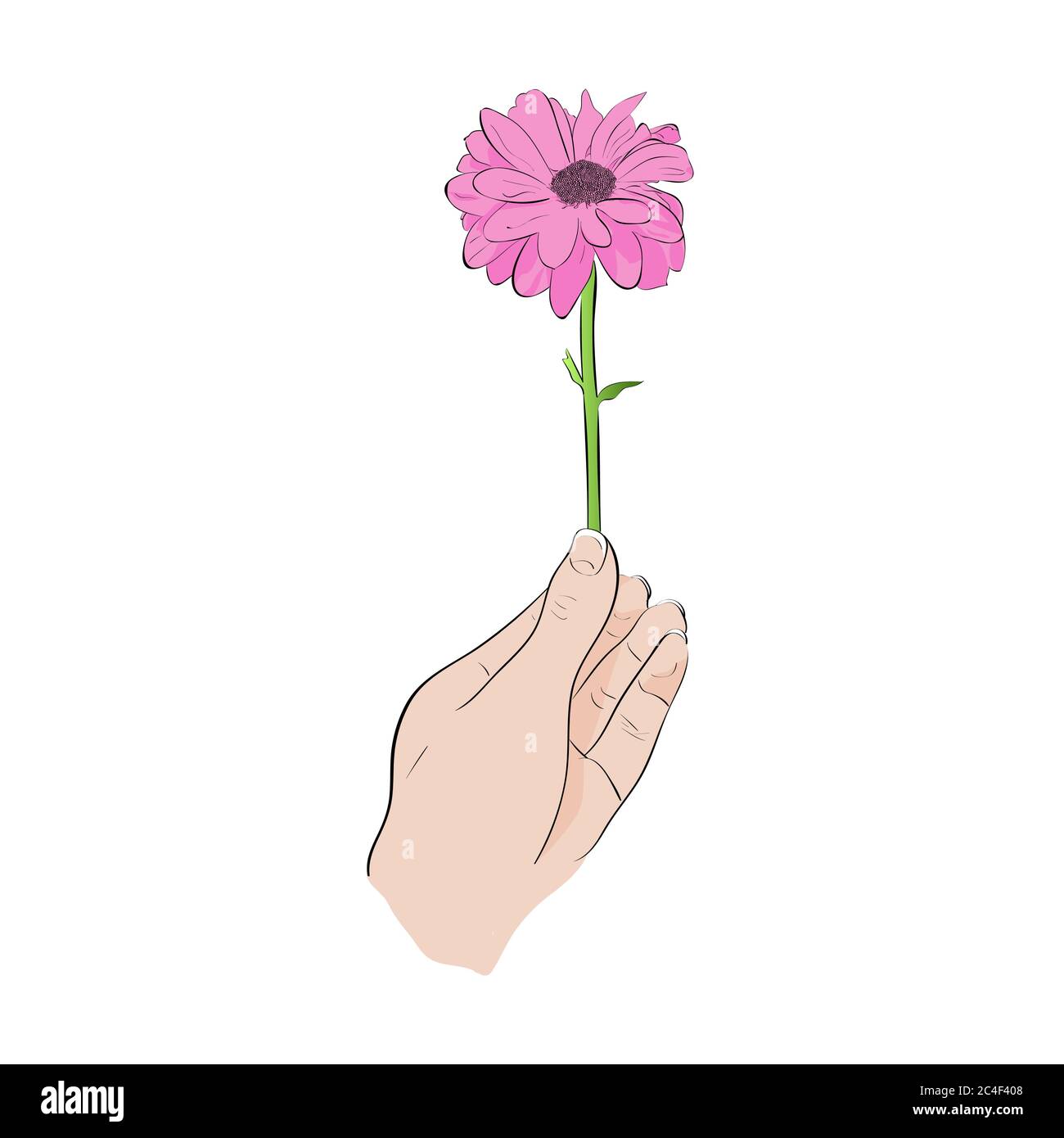 La mano dando una flor. Ilustración vectorial Imagen Vector de stock - Alamy