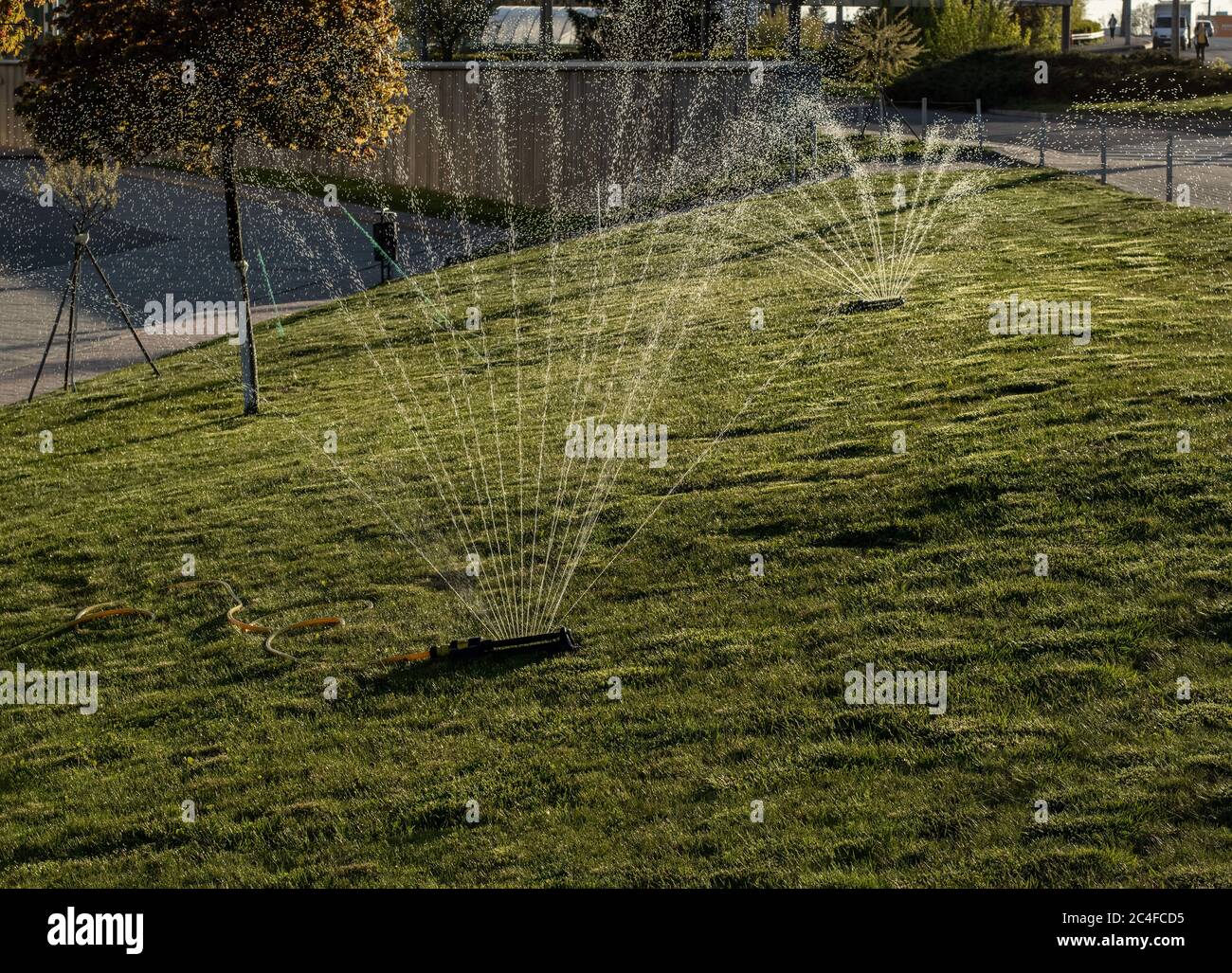 Rociador de agua de plantas fotografías e imágenes de alta resolución -  Alamy