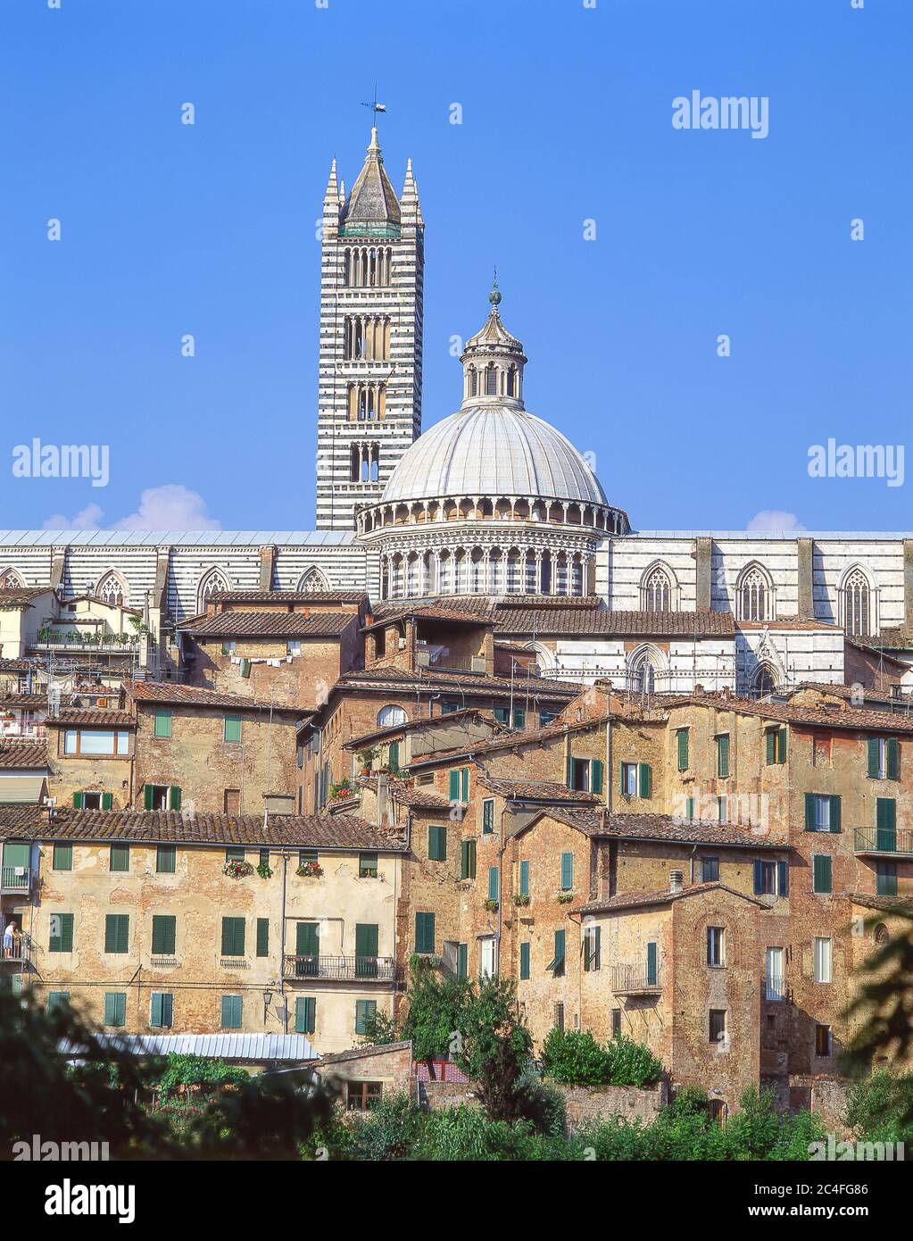 Vista del casco antiguo y del Duomo di Siena (Catedral de Siena), Siena (Siena), provincia de Siena, región de la Toscana, Italia Foto de stock