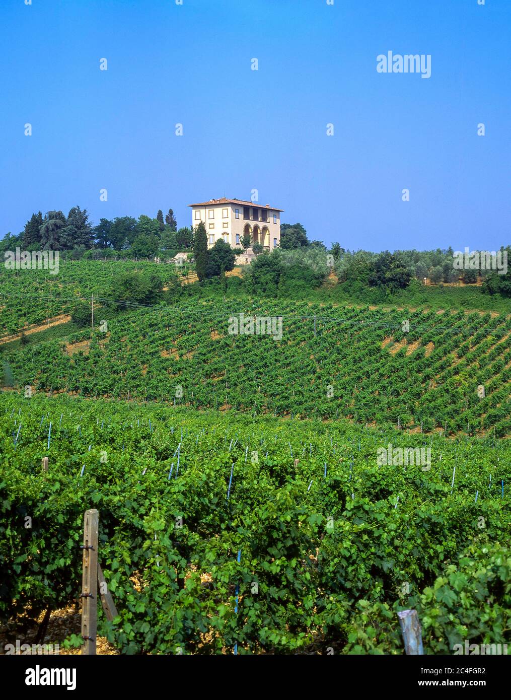 Villa toscana y viñedo, provincia de Lucca, Toscana Región, Italia Foto de stock