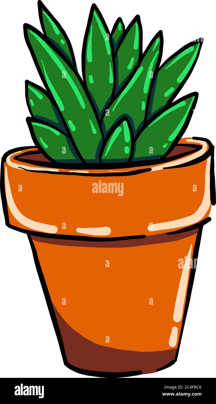 Planta en maceta, ilustración, vector sobre fondo blanco Imagen Vector de  stock - Alamy