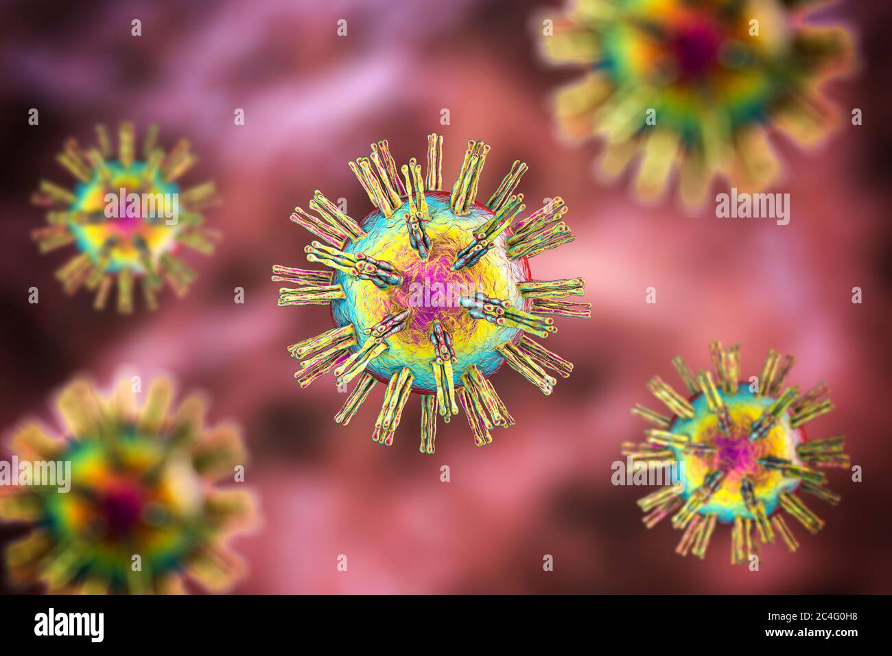 Herpes Tipo 1 Fotografías E Imágenes De Alta Resolución Alamy