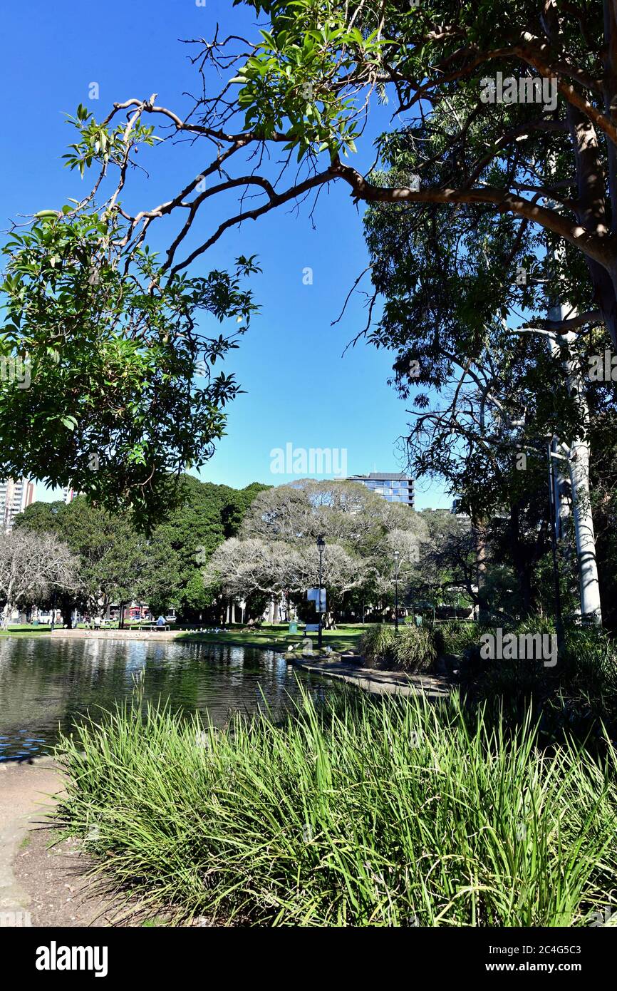 Vista del parque Burwood en Sydney, Australia Foto de stock
