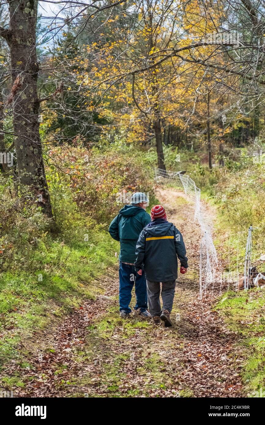 Una pareja que camina un día de otoño Foto de stock