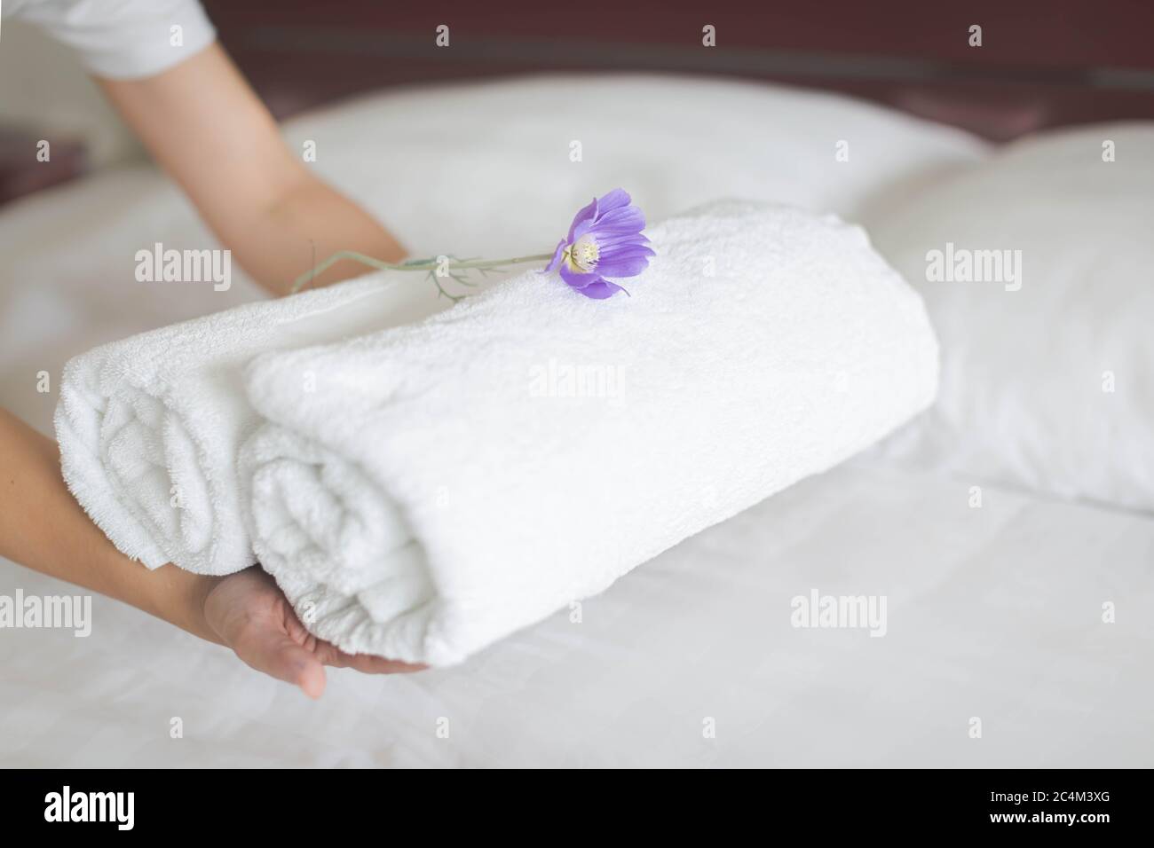 La camarera de piso colocó dos rollos de toallas en una cama de hotel con una flor púrpura Foto de stock