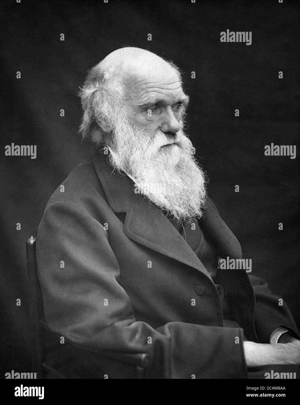 Charles Robert Darwin, evolucionista y autor del origen de las especies, en una fotografía de 1878 de Leonard Darwin, hijo de Charles Darwin. Foto de stock