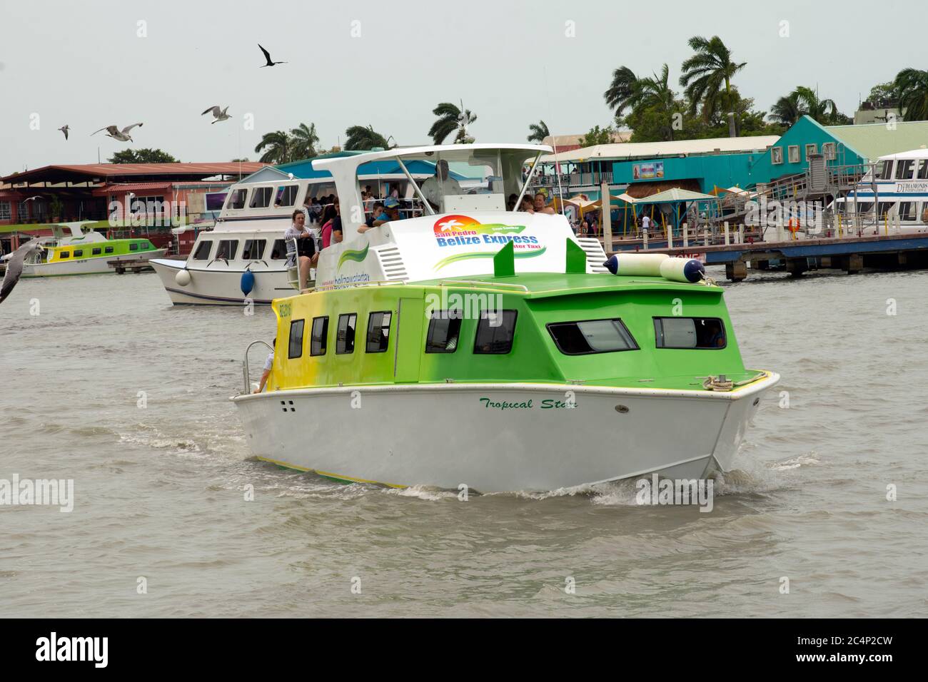 Ferry o taxis acuáticos en la terminal, San Pedro Belize Express Water