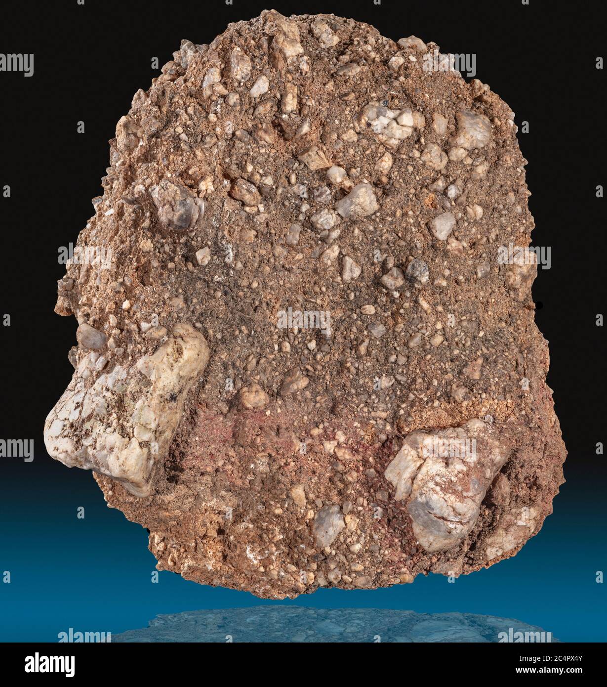 Caliche conglomerado Roca Caliche es una roca sedimentaria, un cemento natural endurecido de carbonato de calcio que une otros materiales, como la grava, san Foto de stock