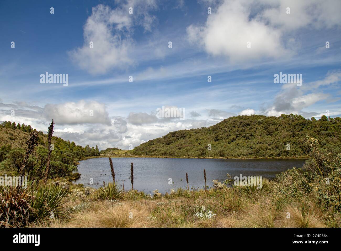 Vista panorámica de la Laguna Verde, un lago natural en el páramo de Teatinos, en las tierras altas de las montañas andinas del centro de Colombia. Foto de stock
