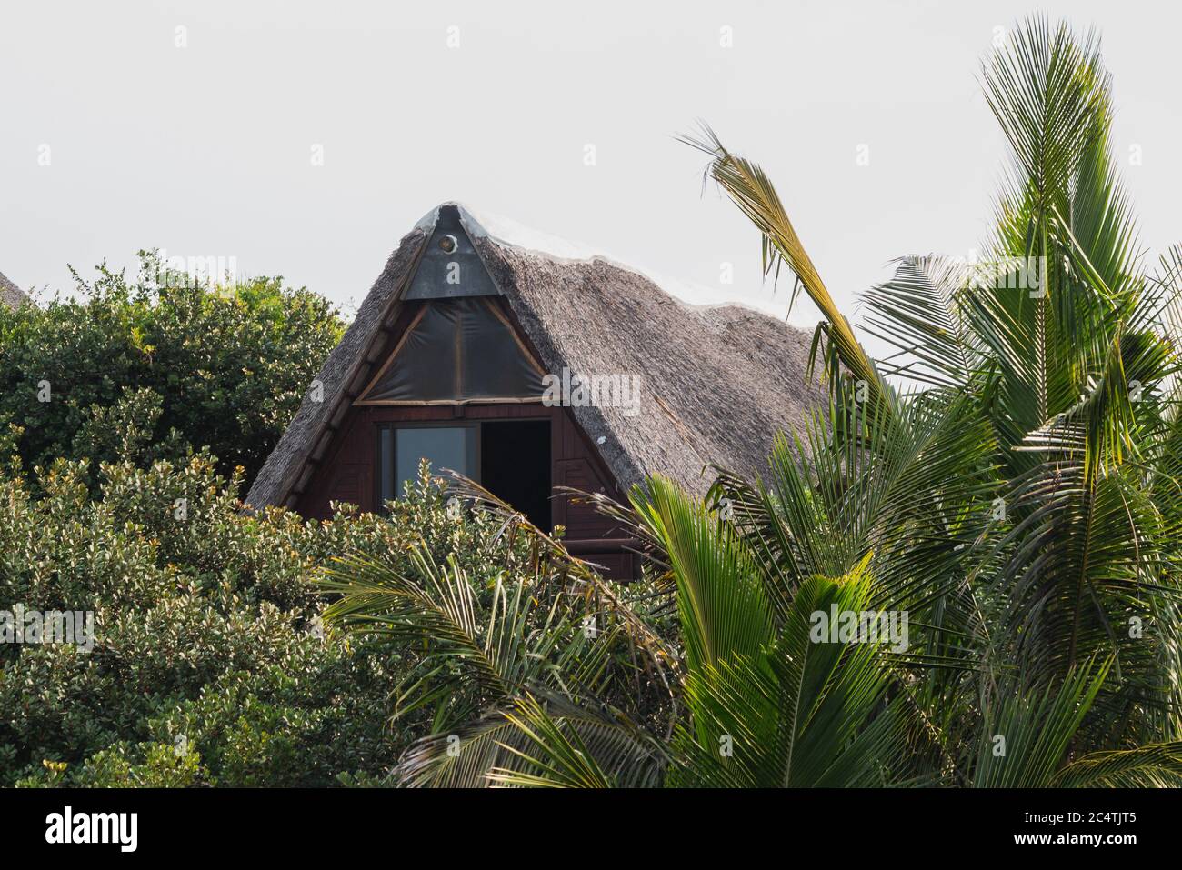 El techo de un remoto albergue rodeado de exuberantes árboles en la playa fuera de Maputo en Mozambique Foto de stock