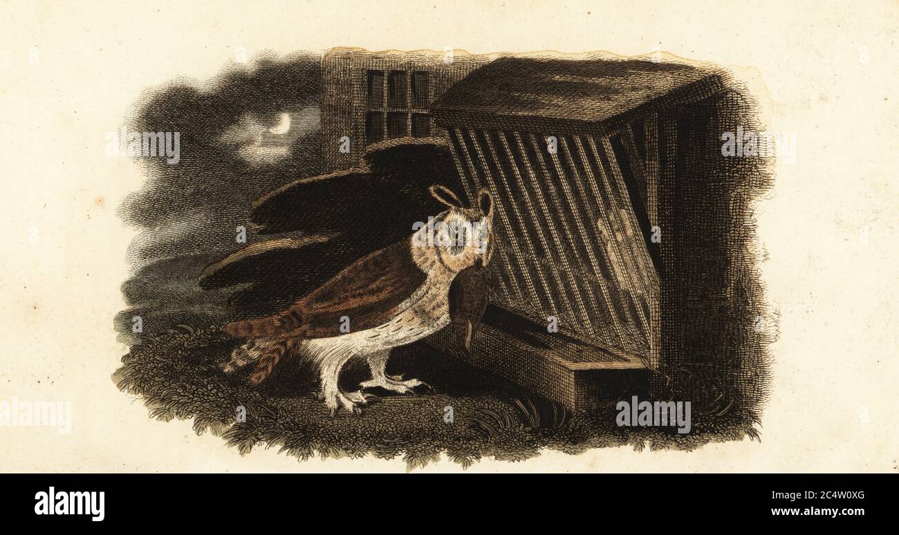 Axel fredrik cronstedt fotografías e imágenes de alta resolución Alamy