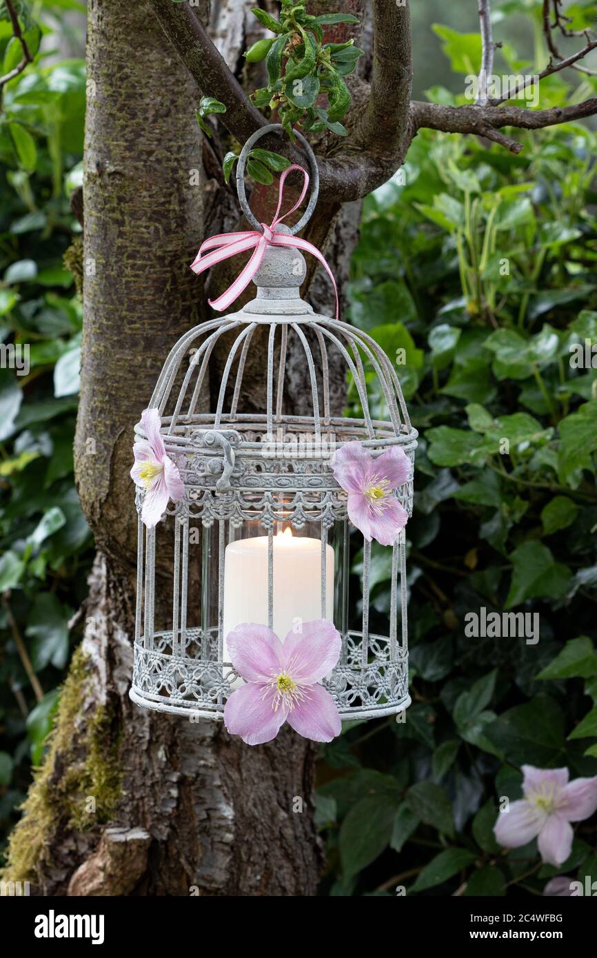Decoración de velas jaula pájaros fotografías de alta resolución - Alamy