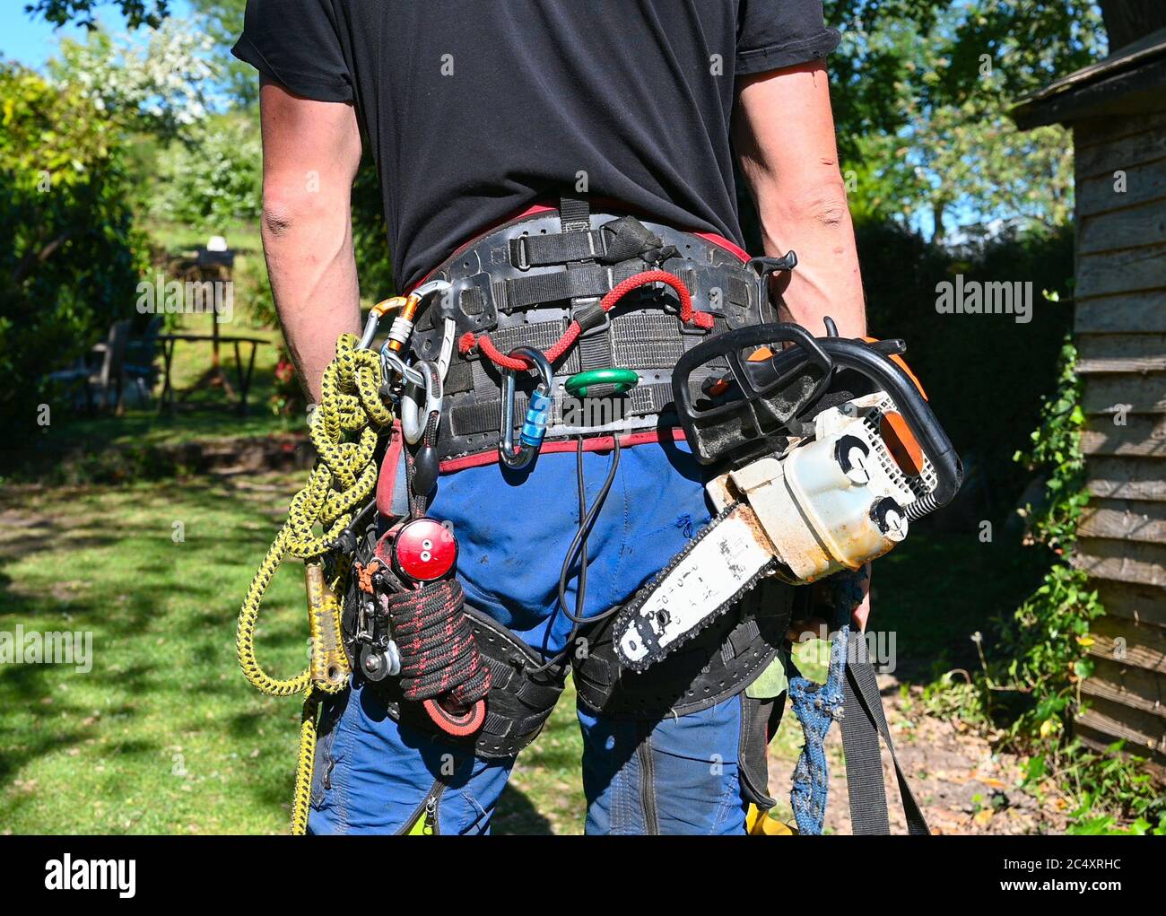 Un cirujano o arborista que lleva su arnés de seguridad llevando una motosierra y cuerdas de seguridad de stock - Alamy