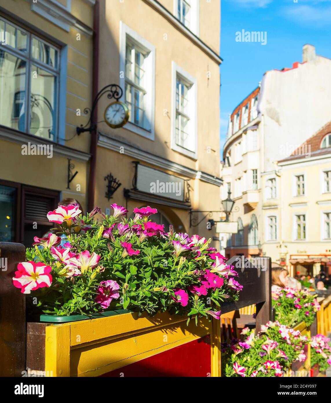 Soleada ciudad Vieja Street View, flores por restaurant, la gente visita, Tallin, Estonia Foto de stock