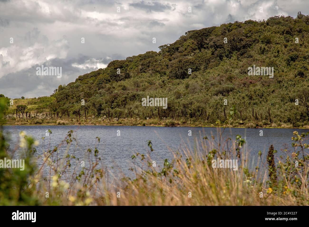 Vista panorámica de la Laguna Verde, un lago natural en el páramo de Teatinos, en las tierras altas de las montañas andinas del centro de Colombia. Foto de stock