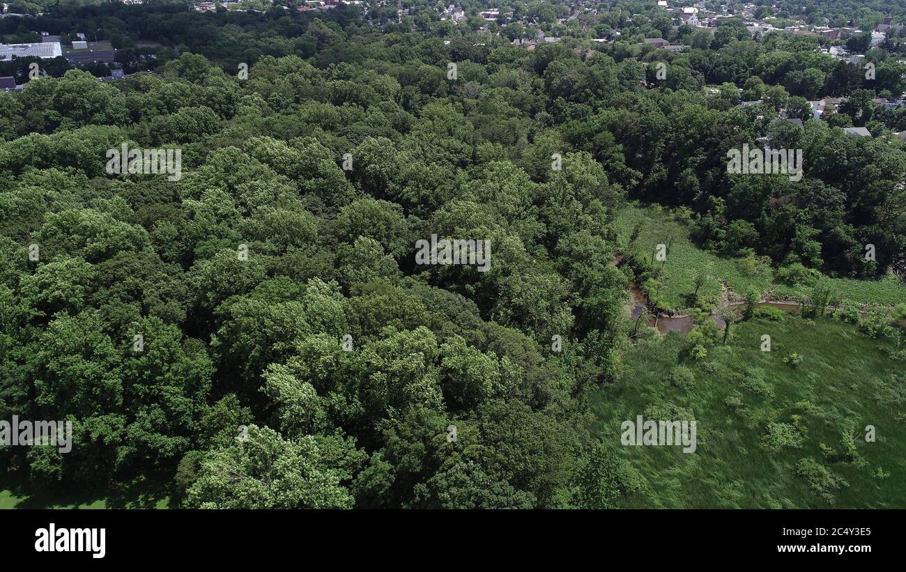 Vista aérea del Parque Bonaparte, la antigua residencia de José