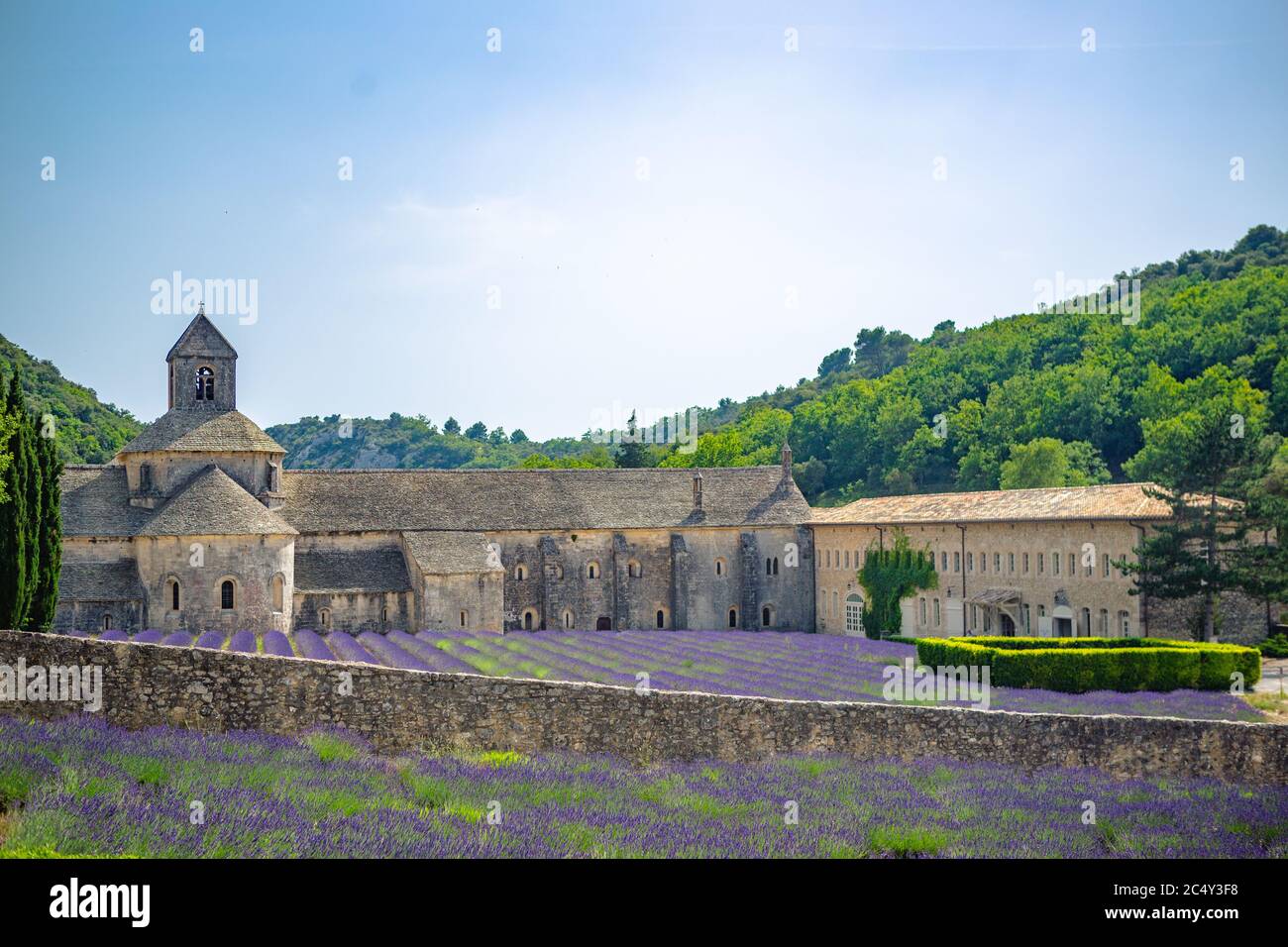 Un campo grande y hermoso de lavanda en la fuente de Abbaye Notre-Dame de Sénanque, en Provenza, Francia. Foto de stock