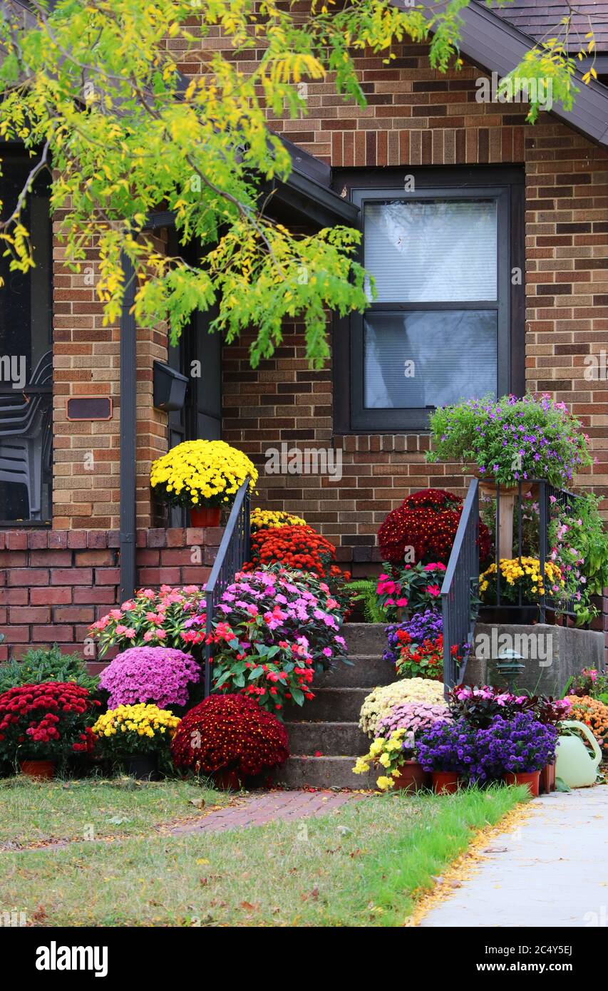 Escalera de entrada principal de la casa de ladrillo decorada con coloridas  flores en macetas para la temporada de otoño. Composición vertical  Fotografía de stock - Alamy
