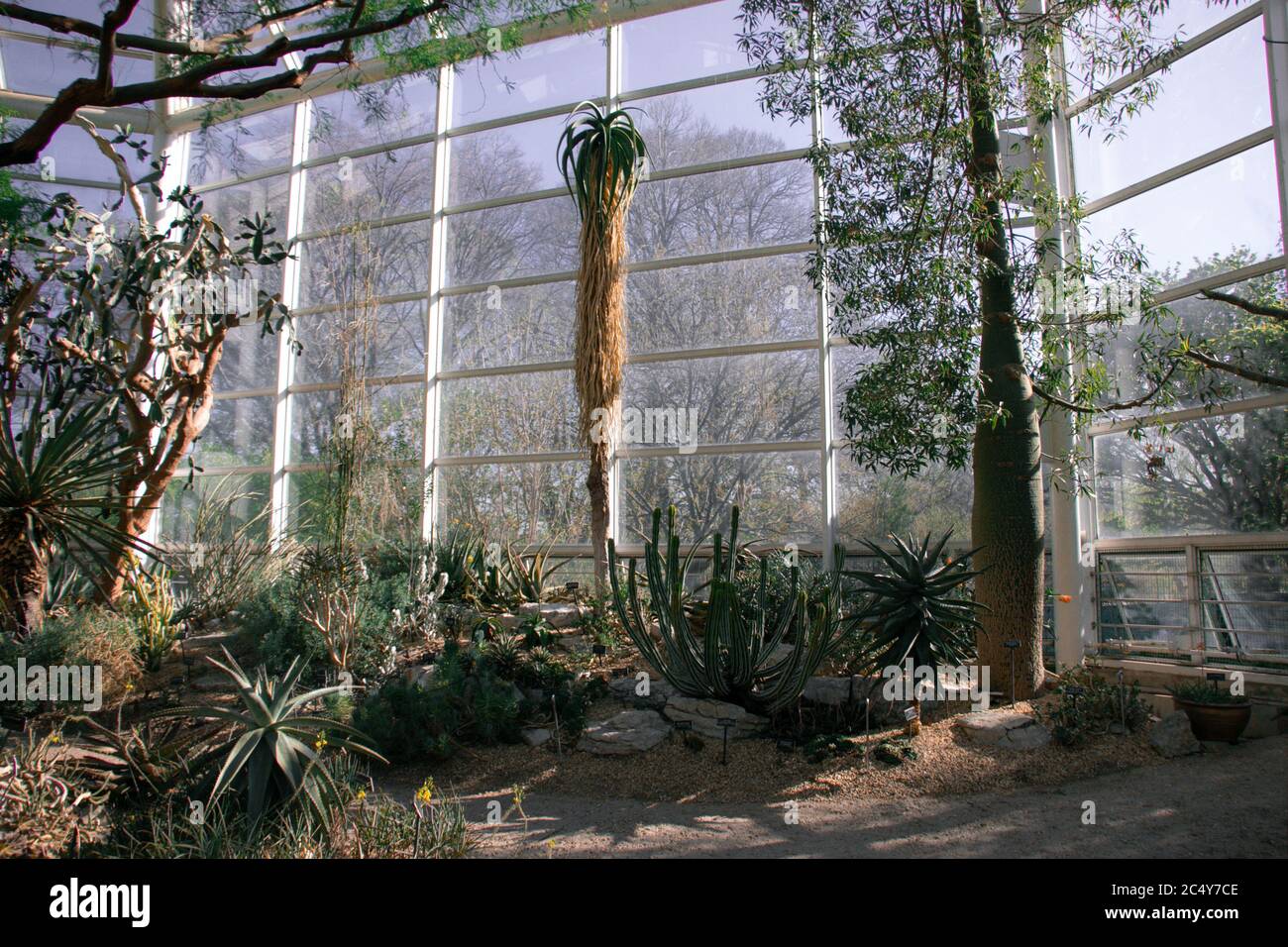 Un jardín interior en el desierto en los Jardines Botánicos en Brooklyn, Nueva York Foto de stock