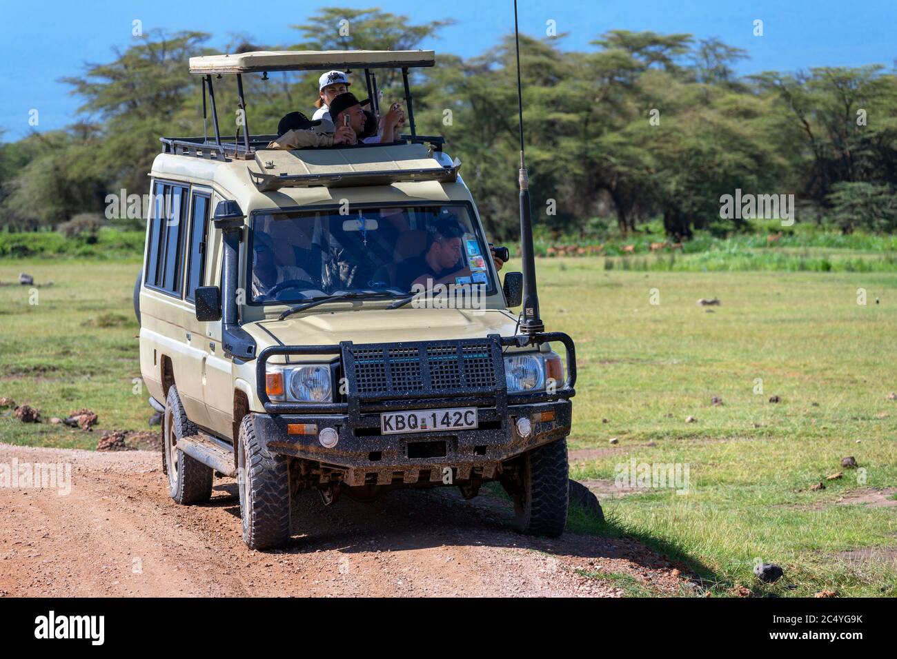 Turistas en un vehículo Toyota safari de fauna salvaje en una impulsión de juego, Parque Nacional Amboseli, Kenya, África Foto de stock