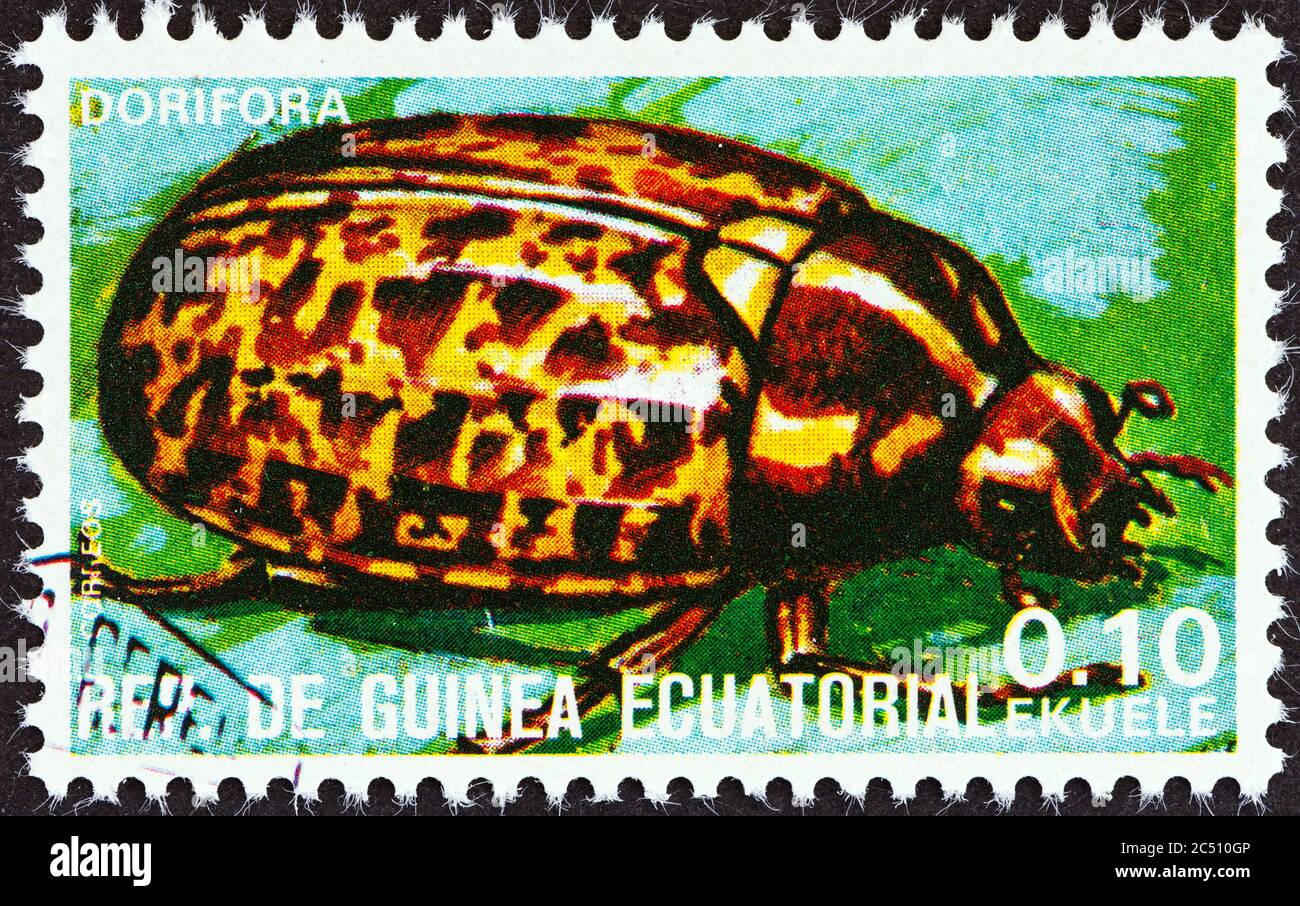 GUINEA ECUATORIAL - ALREDEDOR de 1978: Un sello impreso en Guinea Ecuatorial del número "insectos" muestra Dorifora, alrededor de 1978. Foto de stock