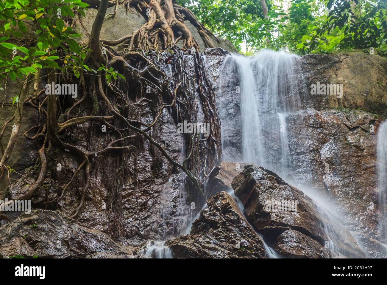 Foto de una cascada en la Reserva de vida Silvestre Krau en Malasia fotografiada durante el día con un largo tiempo de exposición en noviembre de 2013 Foto de stock