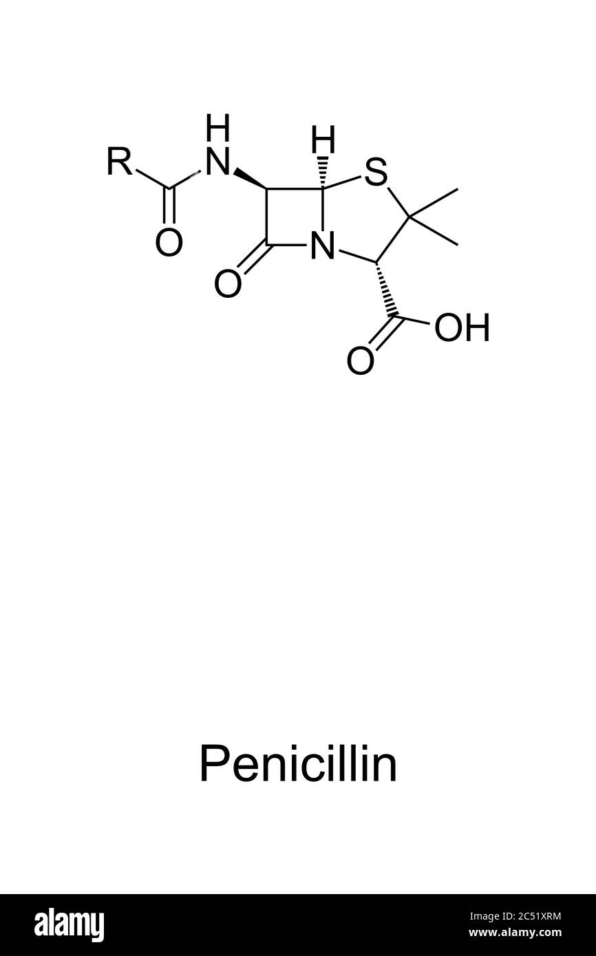 Penicillin antibiotics Imágenes de stock en blanco y negro Alamy